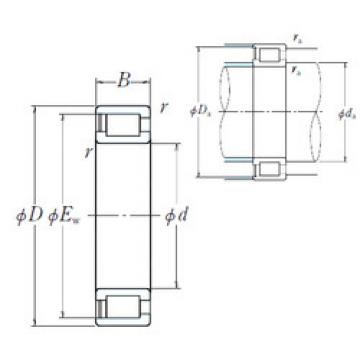 Bearing NCF1856V NSK