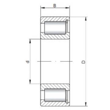 Bearing NCF1876 V ISO