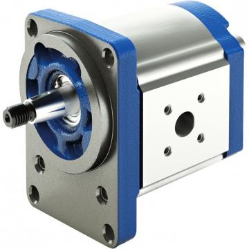 ALP2BK1-D-40 MARZOCCHI ALP Series Gear Pump