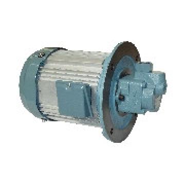 50T-09-L-LL-02 TAIWAN KCL Vane pump 50T Series