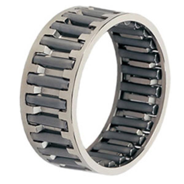 INA C081008-B Needle Non Thrust Roller Bearings #1 image