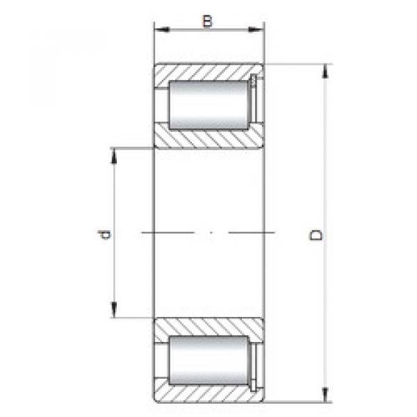 Bearing NCF1856 V CX #2 image