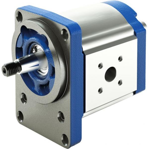 ALPA3A-D-60-FG+ALPP3-D-60-FG MARZOCCHI ALP Series Gear Pump #1 image