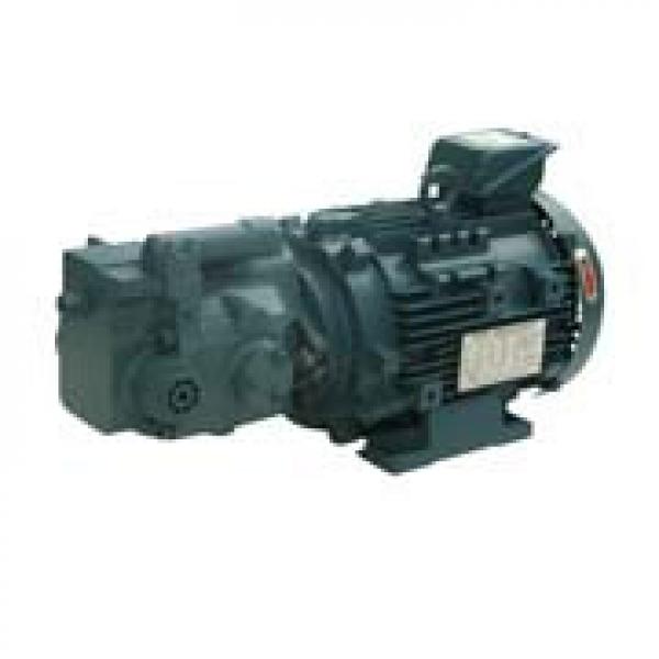 VQ225-22-18-L-RAA TAIWAN KCL Vane pump VQ225 Series VQ225-22-18-L-RAA #1 image