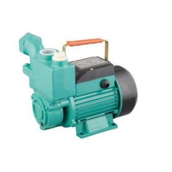 Kawasaki 31Q5-15030 K5V Series Pistion Pump #4 image